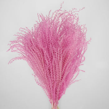 Pink Dried Eulalia Grass