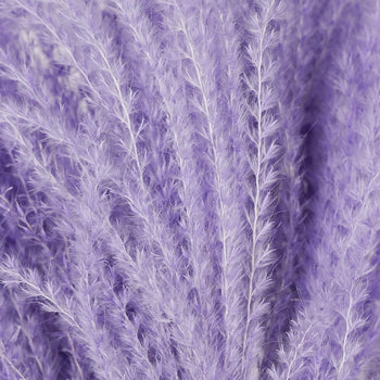 Lavender Dried Eulalia Grass