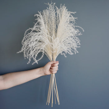 Lavender Dried Eulalia Grass