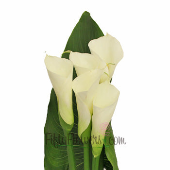 Classic Calla Lilies and Leaf Combo Grande