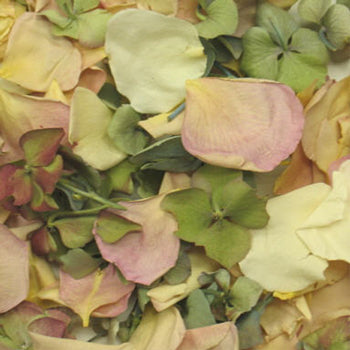 Fairytale Wedding Dried Rose Petals
