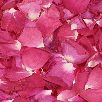 Dried Rose Petals for Wedding
