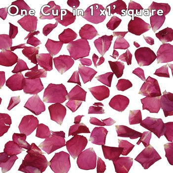Pink Dried Rose Petals