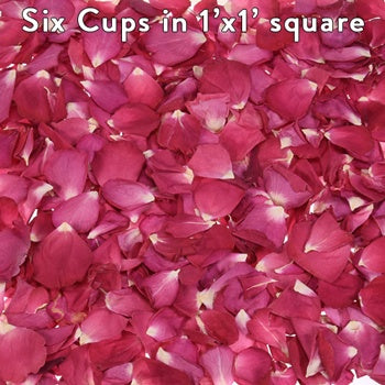Wedding Rose Petals Dried