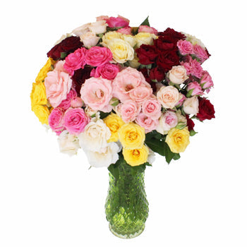 Farm Mix Spray Bulk Roses