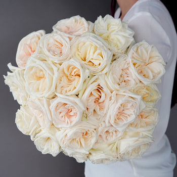 fresh cut white ohara roses sold in an arrangement for flower gifting near me