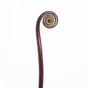 Fiddlehead Fern Filler Greenery