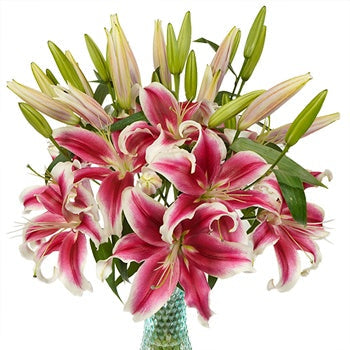 Flashy Hot Pink Oriental Lily