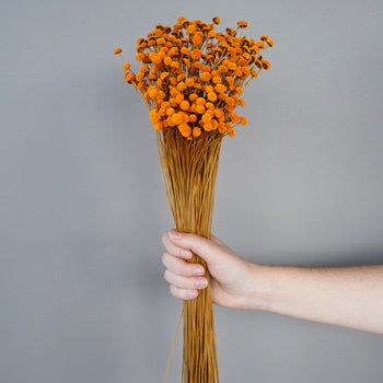 Dried Burnt Orange Floral Buttons