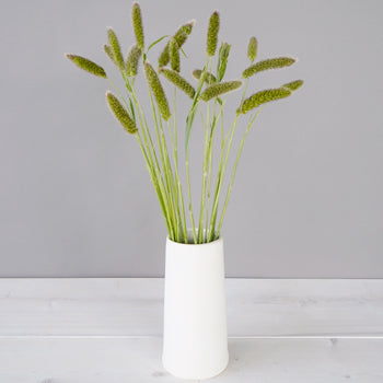 Bulk greens fresh cut foxtail millet grass filler flowers bunch designed