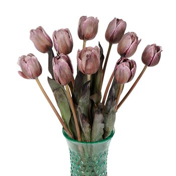 Brownie Standard French Tulip Wholesale Flower In a vase