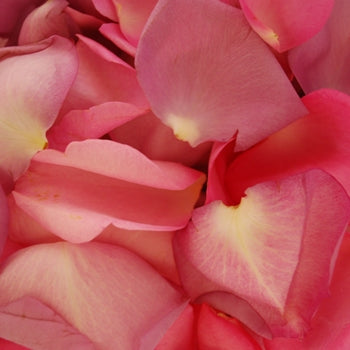 Wedding Rose Petals for sale