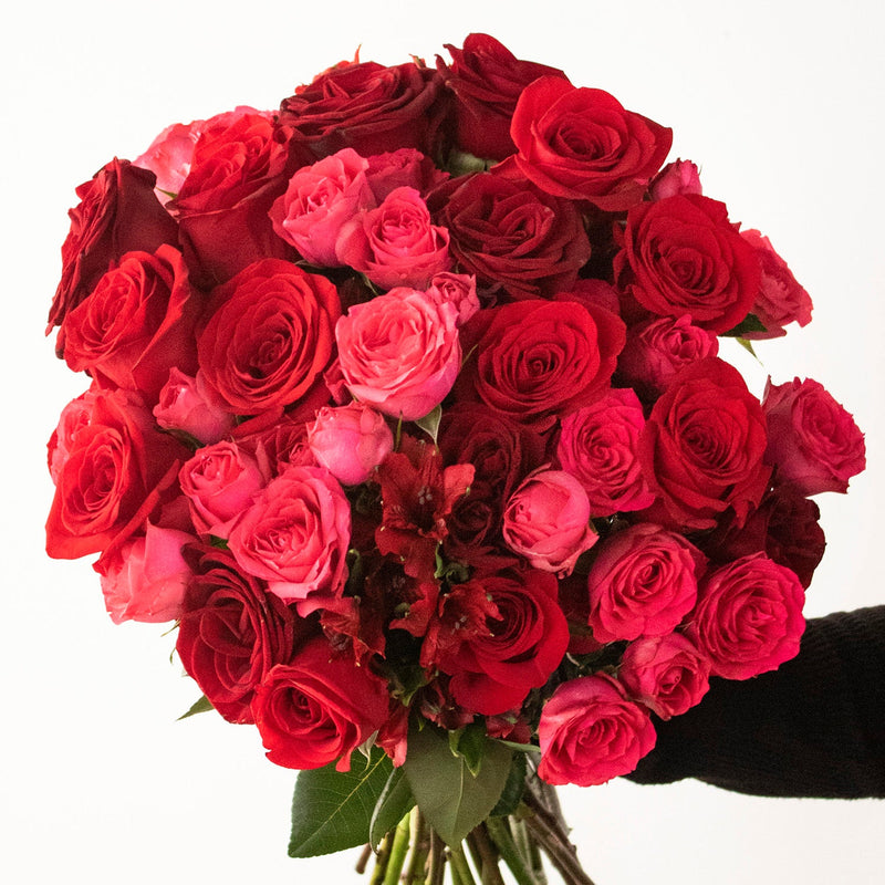 Rich Red Rose Bouquet in Hand