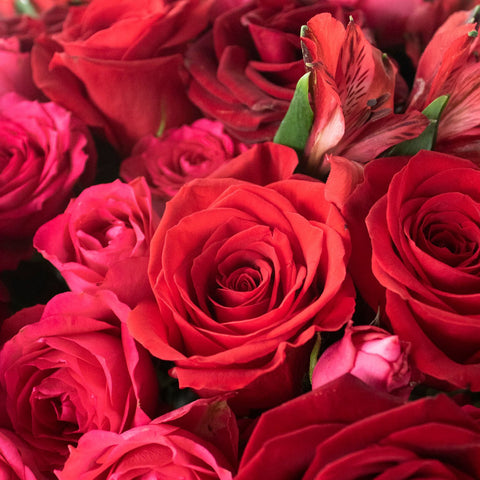 Rich Red Rose Bouquet Up Close