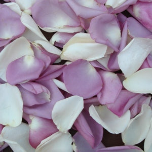 Real Rose Petals online