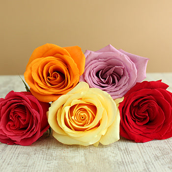 Valentine's Day Single Rose Bouquet for Fundraising