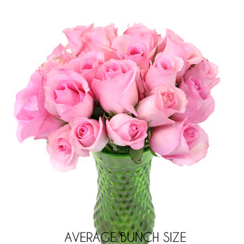 Prima Ballerina Sweetheart Roses