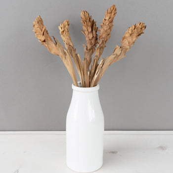 Dried Ginger