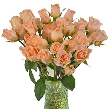 Peach Spray Bulk Roses