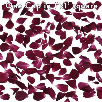 Alluring Beauty Dried Rose Petals