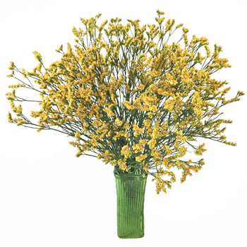 Golden Yellow Airbrushed Limonium