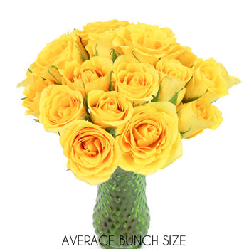 California Gold Sweetheart Roses