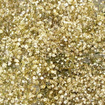 Baby's Breath Flower Gold Glitter