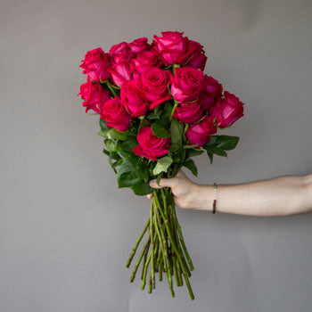 Fresh European Cut Pink Roses For Your House