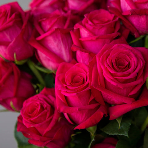 Roses By Color