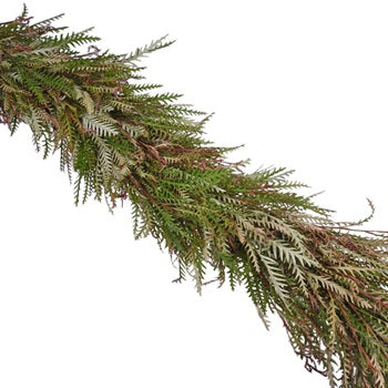 Grevillea Garland