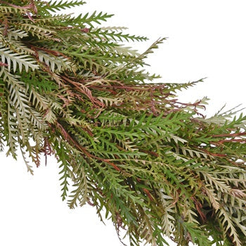 Grevillea Garland