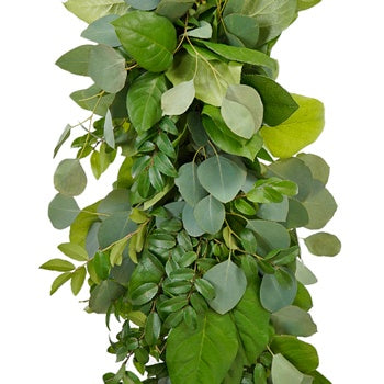 Green Huck, Silver Eucalyptus and Salal Greens Garland