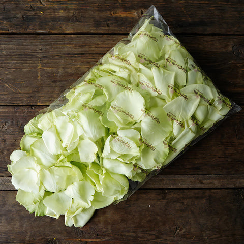 Green Fresh Rose Petals Wholesale
