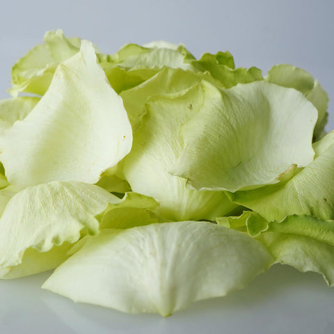 Green Fresh Rose Roses Petals