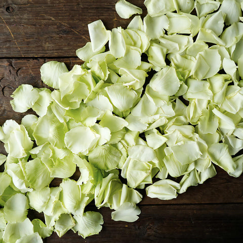 Green Rose Petals for sale