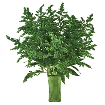 Enhanced Green Estelle Filler Flower