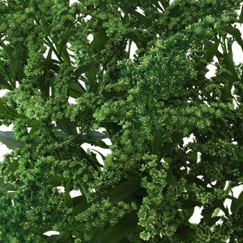 Enhanced Green Estelle Filler Flower