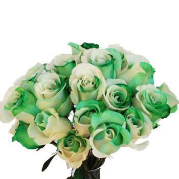 Green and White Rainbow Roses