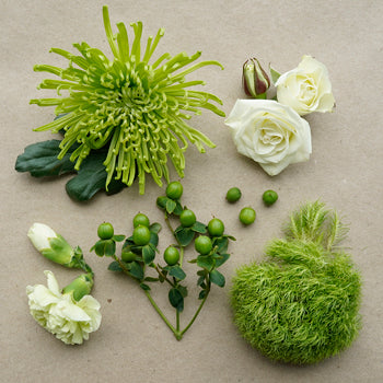 Green is Good Combo Box