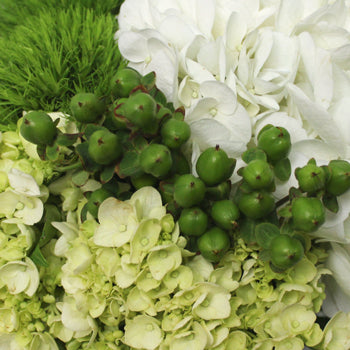 White Hydrangea & hypericum berry Fresh Flower Bouquet Close up