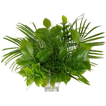 Caribbean Breeze DIY Starter Centerpiece