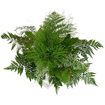 Holiday Greenery DIY Starter Centerpiece
