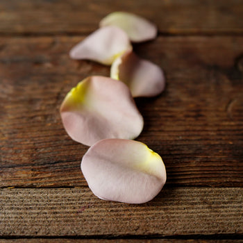 Grey Knights Dried Flower Petals