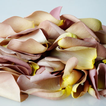 Buy Dried Rose Petals Grey Knights