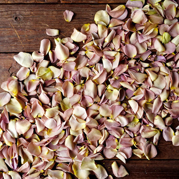 Bulk Dried Rose Petals Grey Knights