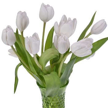 Mother\'s Day Fresh Cut Bulk Tulip Flowers