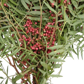 Wedding greenery hanging pepperberry bulk fall greens sold near me