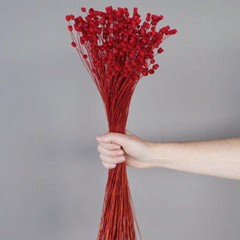 Dried Red Velvet Happy Flowers
