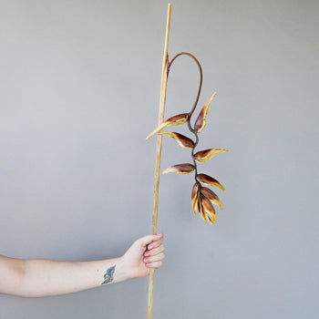 Dried Hanging Heliconia Flowers