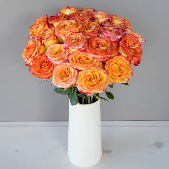 Valentines Yellow with Red Edge Rose Special